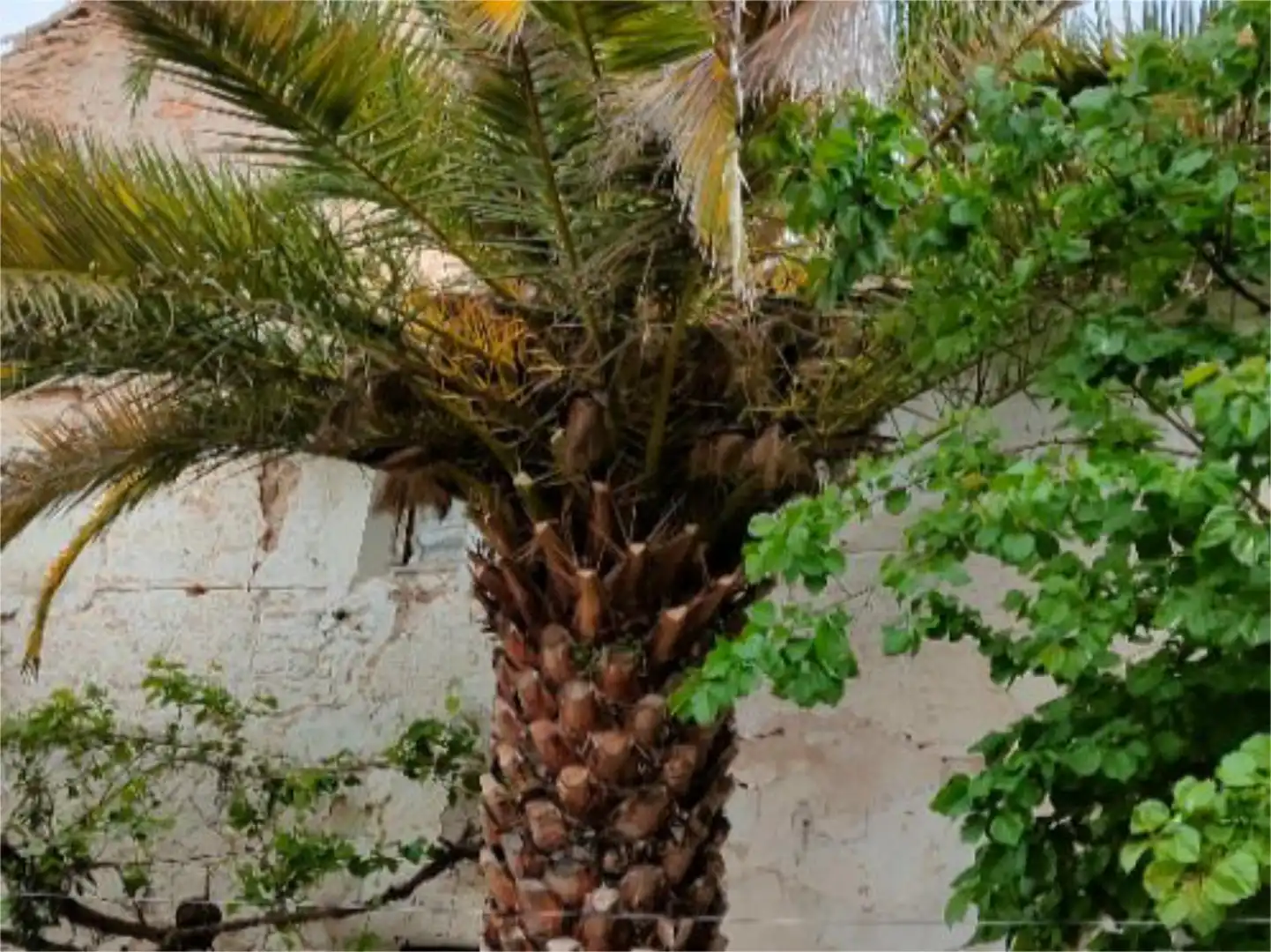 Wohnung zum Verkauf in Calle Juan Félix Huertas, 4, Torralba de Calatrava Garten von Wohnung zum Verkauf in Torralba de Calatrava mit Heizung, Privatgarten und Terrasse