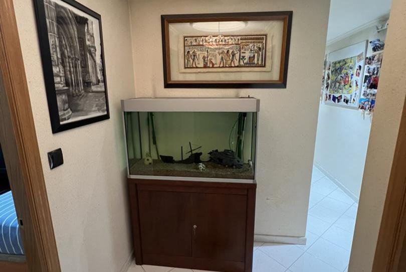 Flat to rent in Rúa Hortensia, 3, A Piriganlla - Albeiros - Garabolos, Lugo - image 1 Photo 1 of Flat to rent in Rúa Hortensia, 3, A Piriganlla - Albeiros - Garabolos, Lugo