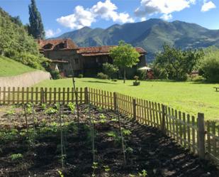 Garten von Wohnungen miete in Laspaúles mit Terrasse