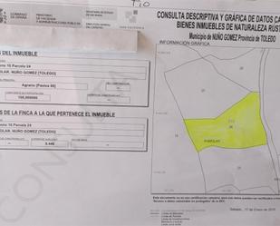 Land for sale in Nuño Gómez