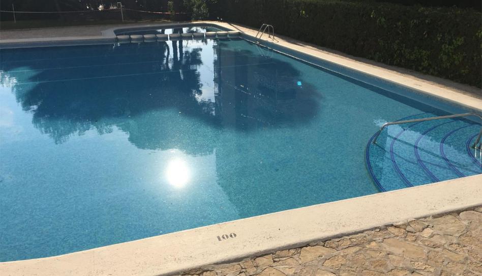 Flat to rent in Calle Apolo, 6, Albufereta, Alicante - image 1 Photo 1 of Flat to rent in Calle Apolo, 6, Albufereta, Alicante