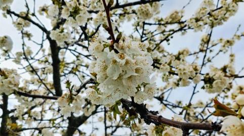 Photo 2 of Flat for sale in Calle Cervantes, 35, Riaza, Segovia