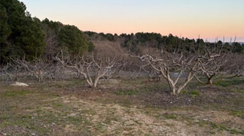 Photo 5 of Industrial buildings for sale in Diseminado Diseminados, 3, Arenas de San Pedro, Ávila