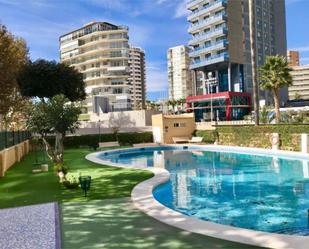 Swimming pool of Apartment to rent in Benidorm  with Air Conditioner