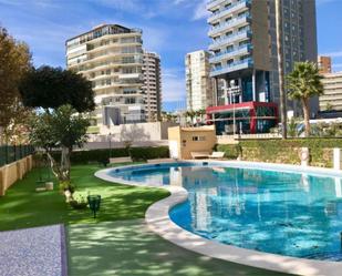 Piscina de Apartament de lloguer en Benidorm amb Aire condicionat