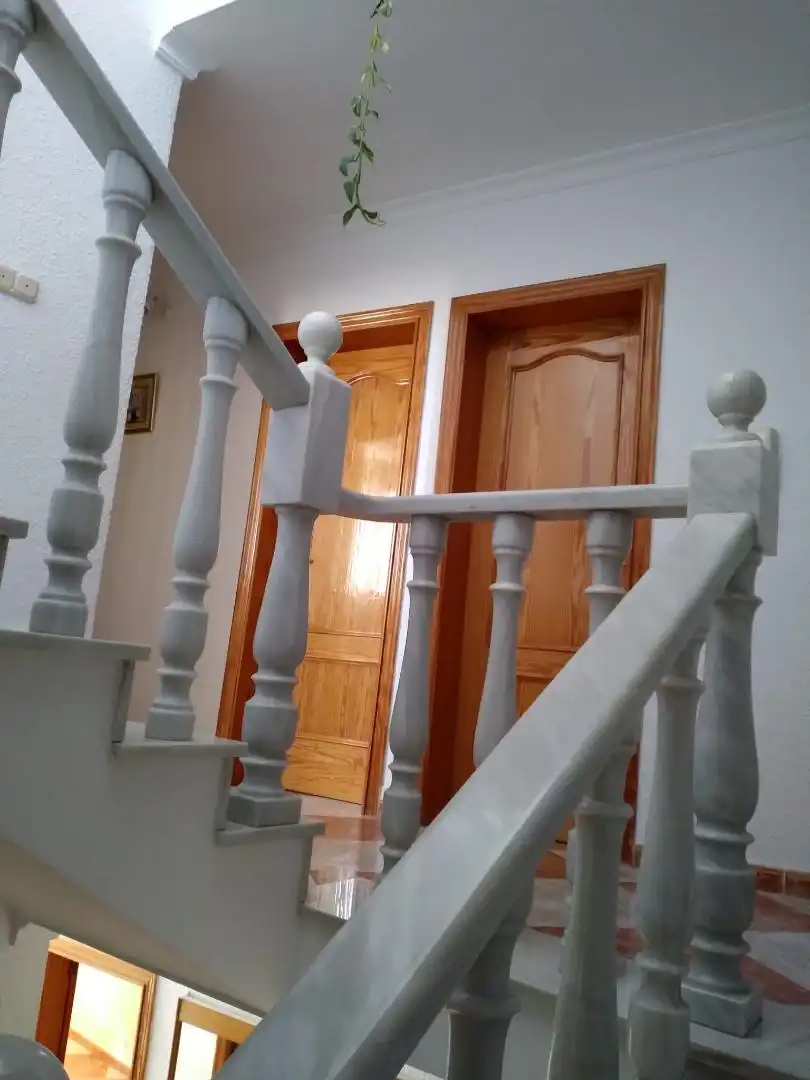 Detached homes for sale in Fines  with Terrace, Furnished and Oven