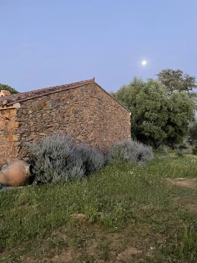 Finca rústica en venta en Zufre Vista exterior de Finca rústica en venta en Zufre con Calefacción, Jardín privado y Terraza