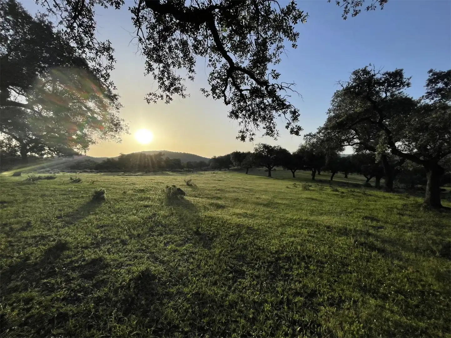 Finca rústica en venta en Zufre Finca rústica en venta en Zufre con Calefacción, Jardín privado y Terraza