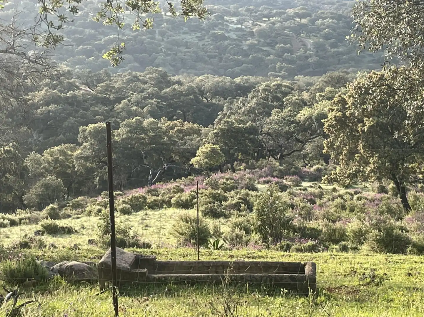 Finca rústica en venta en Zufre Finca rústica en venta en Zufre con Calefacción, Jardín privado y Terraza
