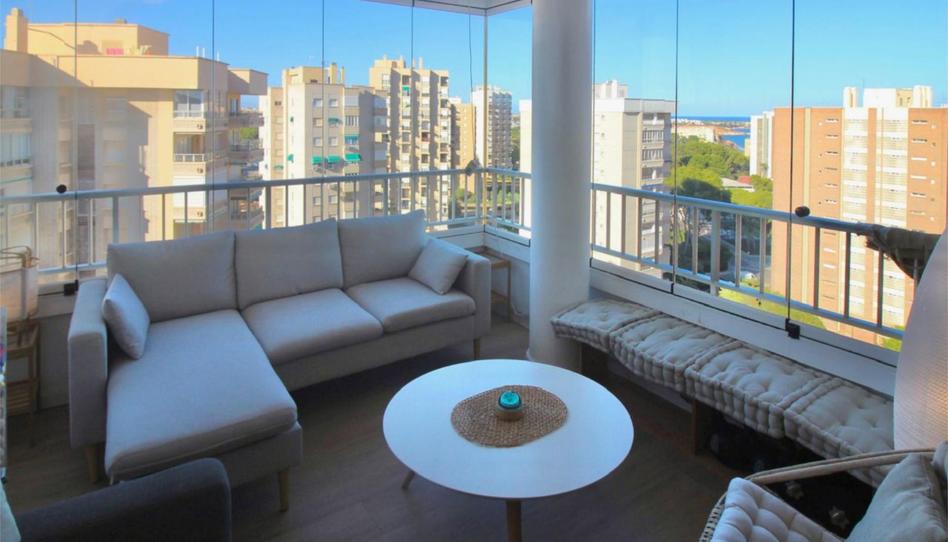 Pis de lloguer a Calle Teodoro Llorente, 6, Campoamor, Alicante - imatge 1 Foto 1 de Pis de lloguer a Calle Teodoro Llorente, 6, Campoamor, Alicante