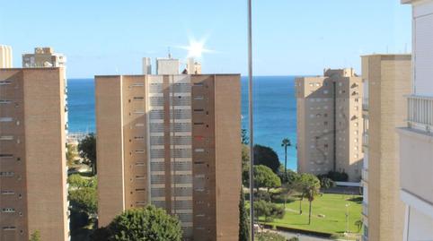 Pis de lloguer a Calle Teodoro Llorente, 6, Campoamor, Alicante - imatge 2 Foto 2 de Pis de lloguer a Calle Teodoro Llorente, 6, Campoamor, Alicante