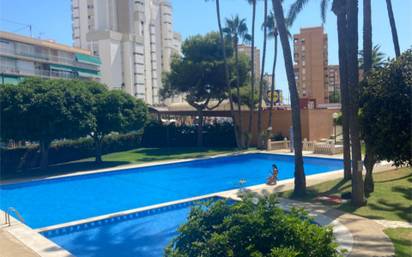 Apartamento en alquiler en campello playa