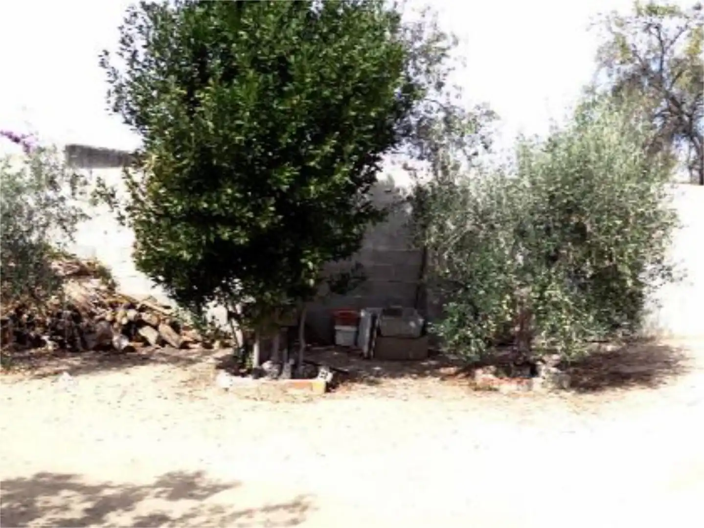 Detached homes for sale in La Albuera