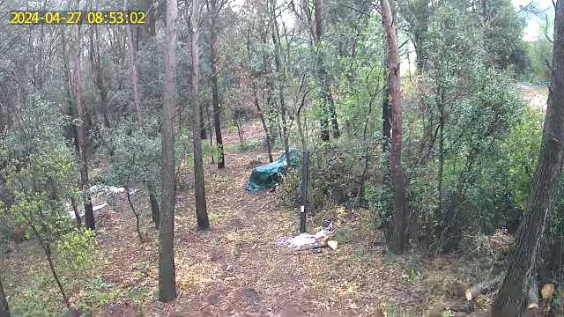 Land for sale in Ordis