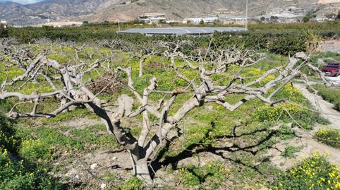No Urbanitzable en venda a Lobres, Granada - imatge 2 Foto 2 de No Urbanitzable en venda a Lobres, Granada