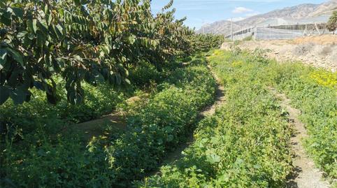 No Urbanitzable en venda a Lobres, Granada - imatge 3 Foto 3 de No Urbanitzable en venda a Lobres, Granada