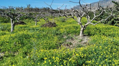 No Urbanitzable en venda a Lobres, Granada - imatge 4 Foto 4 de No Urbanitzable en venda a Lobres, Granada