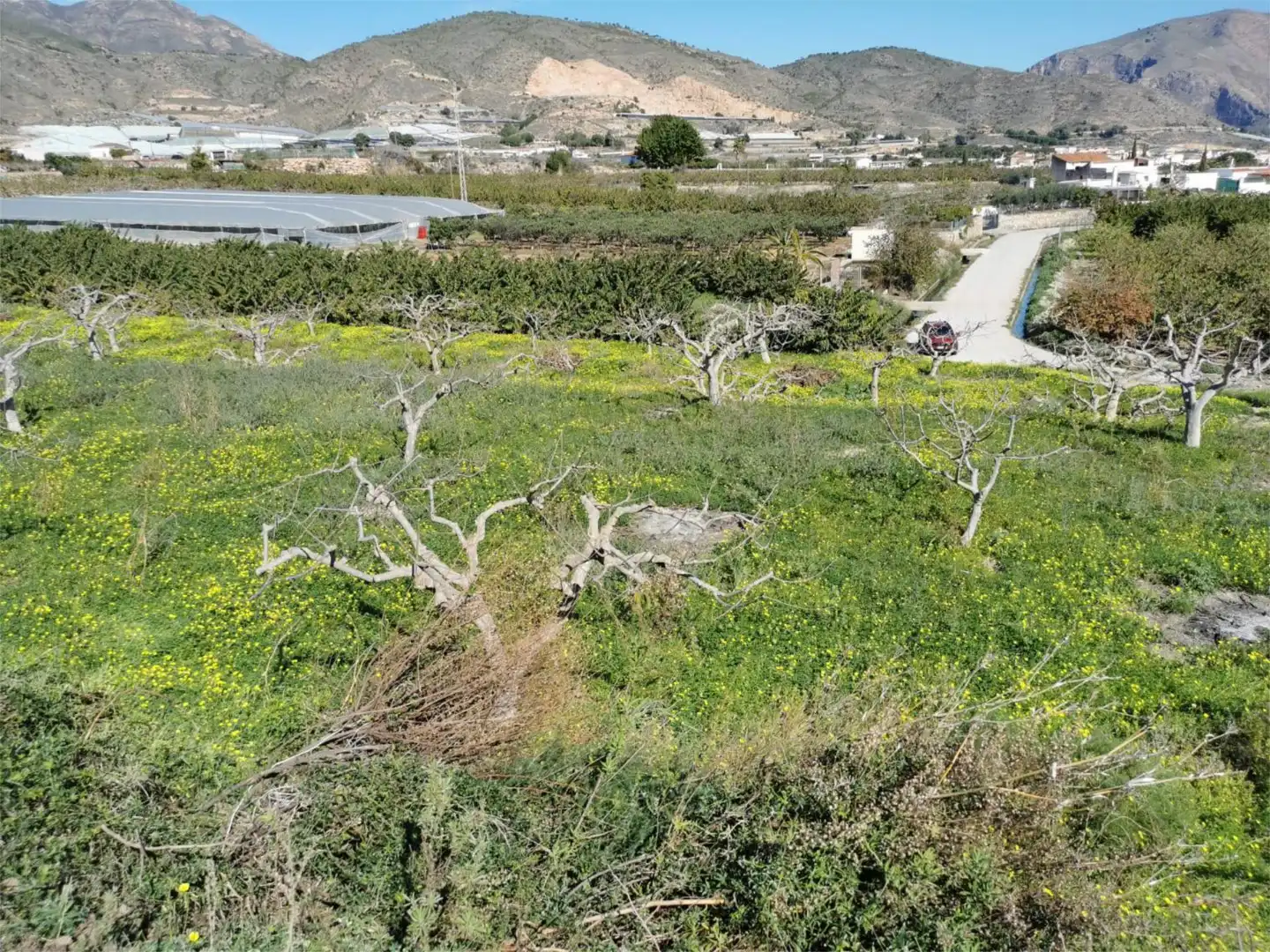 Non-constructible Land for sale in Salobreña