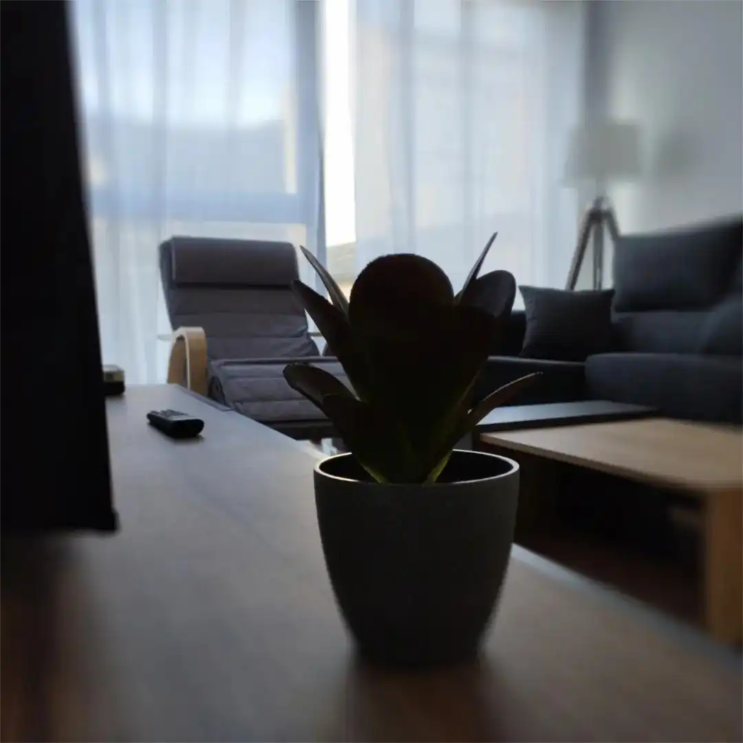 Flat for rent in Avenida Arcadio Pardiñas, 203, Burela