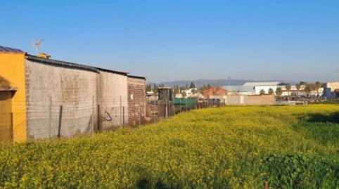 Foto 2 de Terreno en venta en Calle Hospital, 32, Navalvillar de Pela, Badajoz