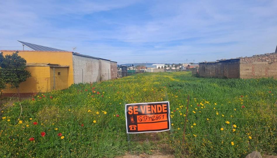 Foto 1 de Terreno en venta en Calle Hospital, 32, Navalvillar de Pela, Badajoz
