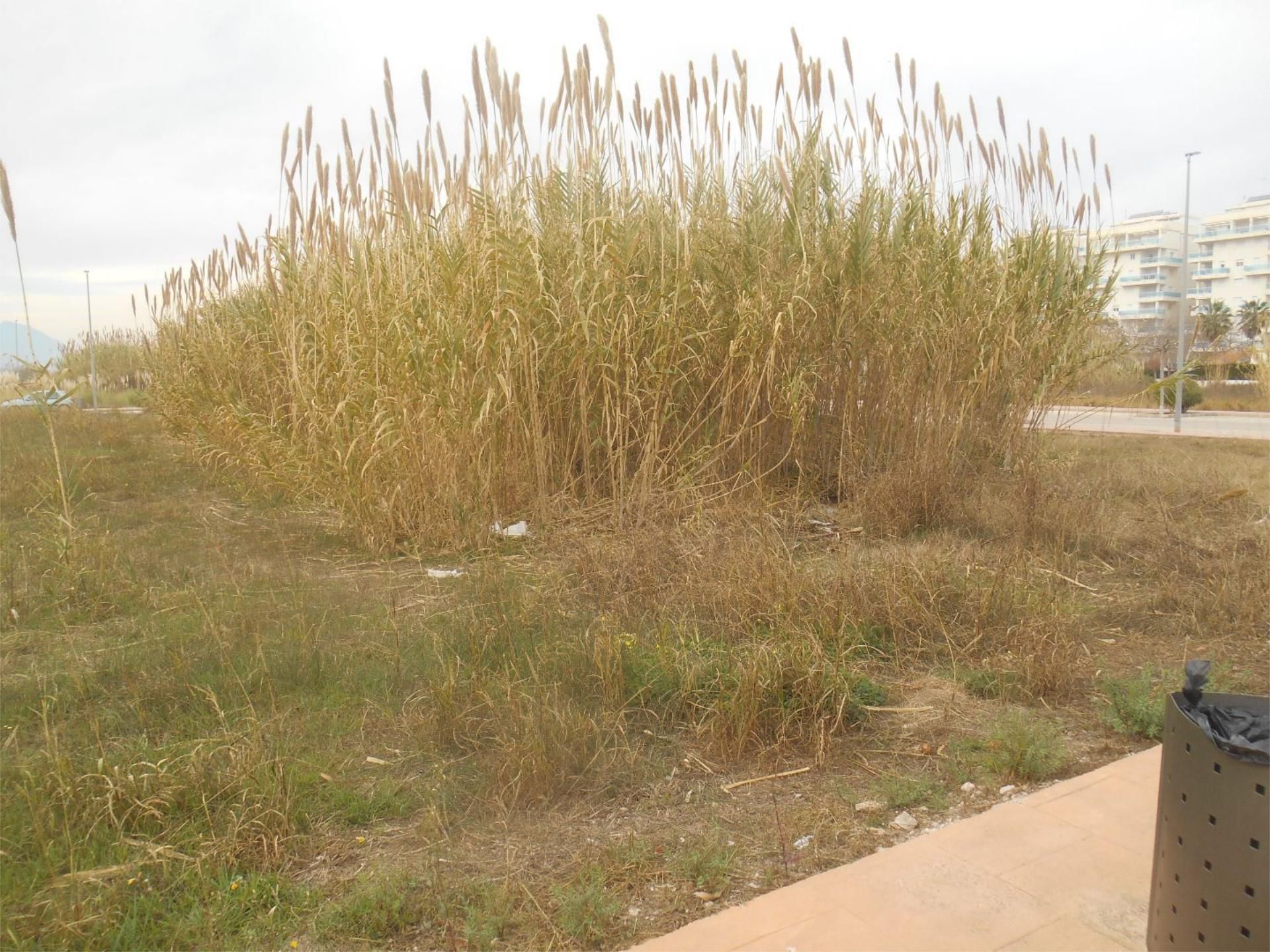 Constructible Land for sale in Piles