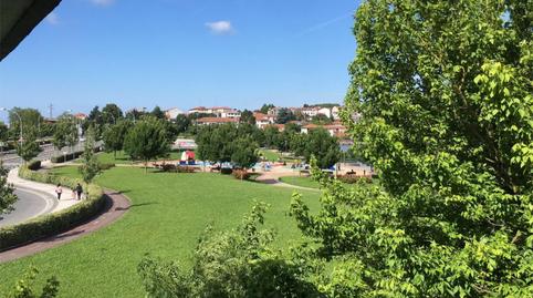 Oficina de lloguer a Palmera - Dumboa - Arbes, Gipuzkoa - imatge 3 Foto 3 de Oficina de lloguer a Palmera - Dumboa - Arbes, Gipuzkoa