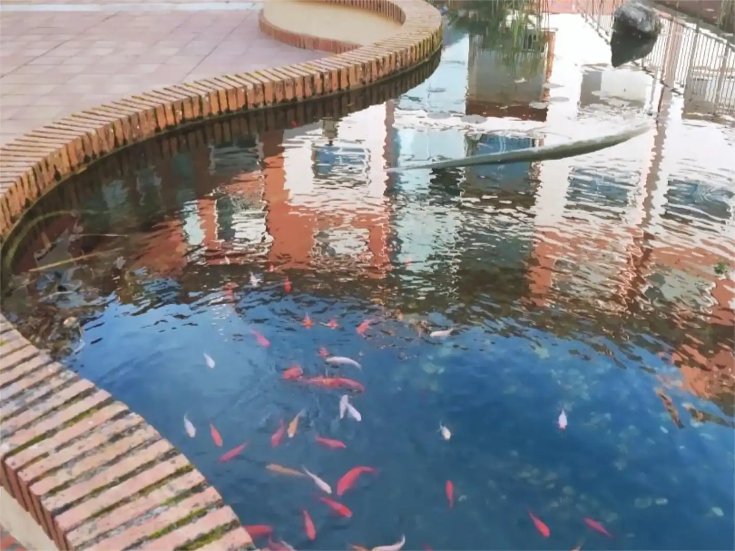 Piscina de Estudio en venta en Gondomar