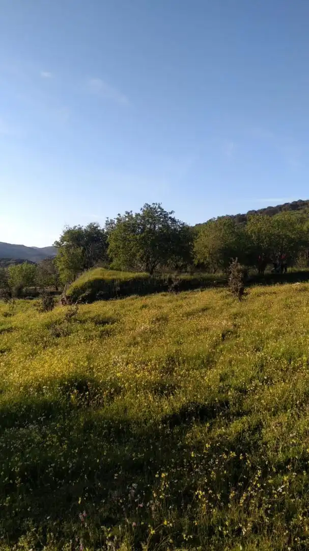 Planta baja en venta en Zafra