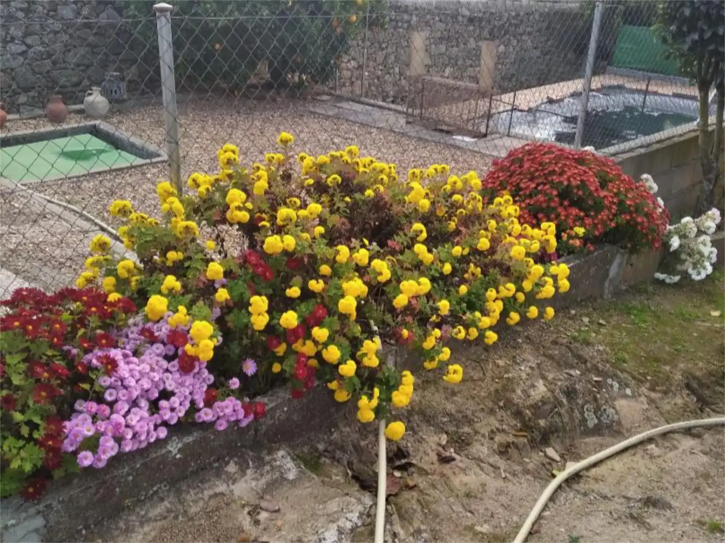 Garden of Country homes for sale in Plasenzuela  with Air Conditioner, Heating and Private garden