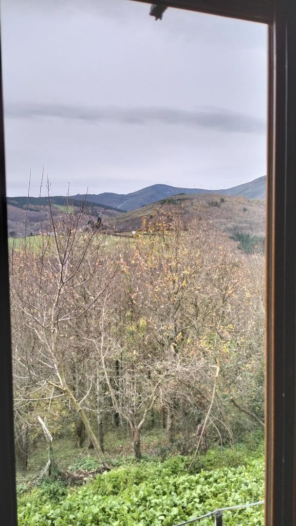 Casa o xalet en venda en Allande amb Jardí privat, Terrassa i Traster