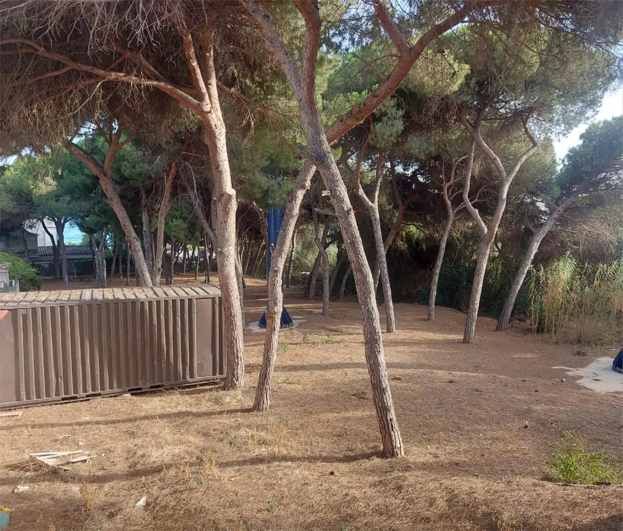 Garden of Land for sale in Marbella
