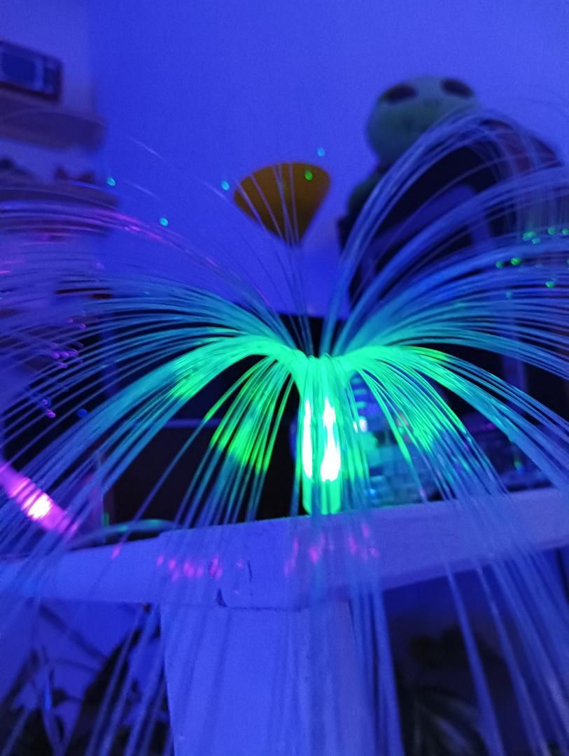 Estudio para compartir en EP Barraques de Llacer, 4, Faitanar