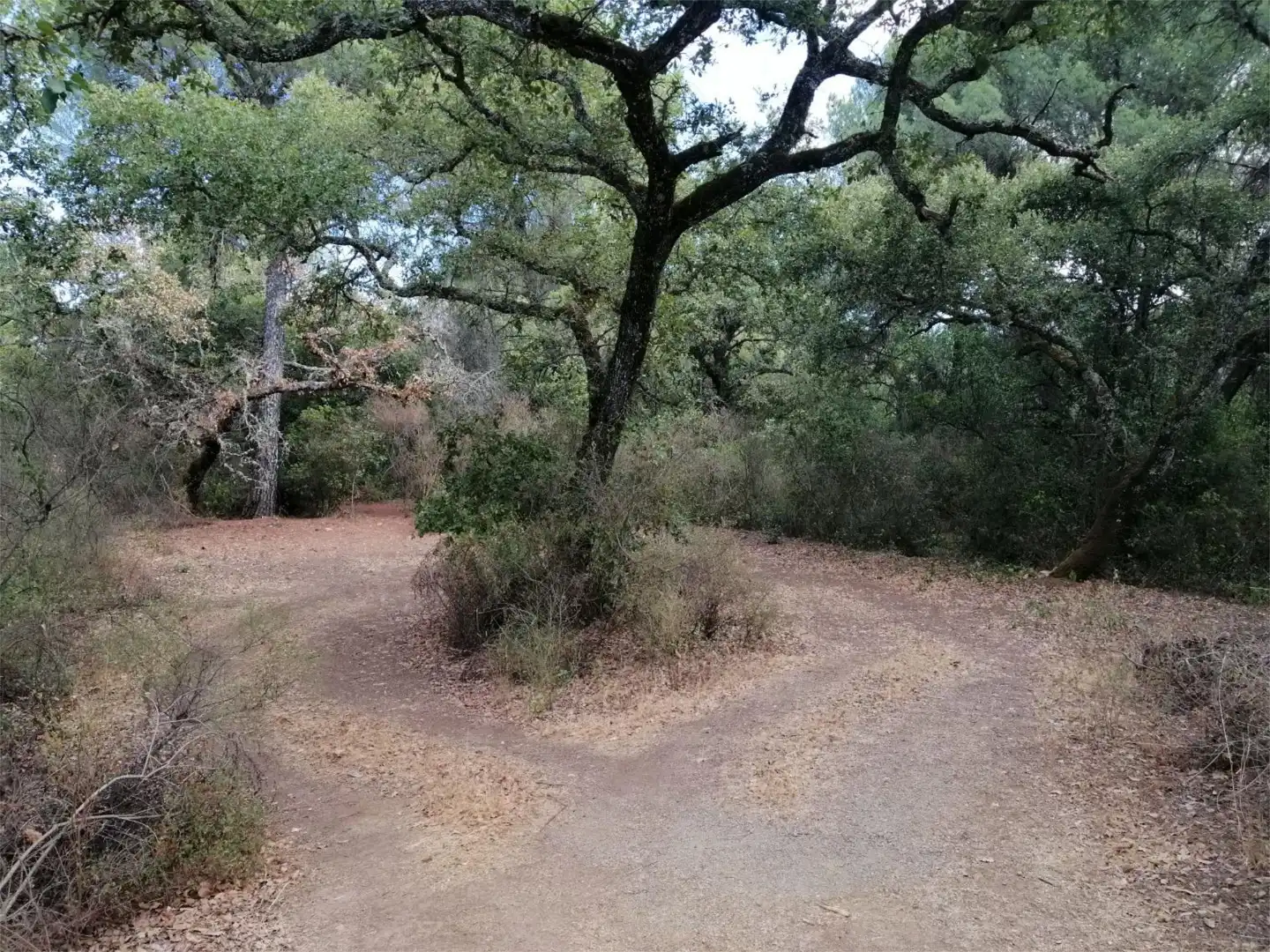Terreno en venta en Córdoba