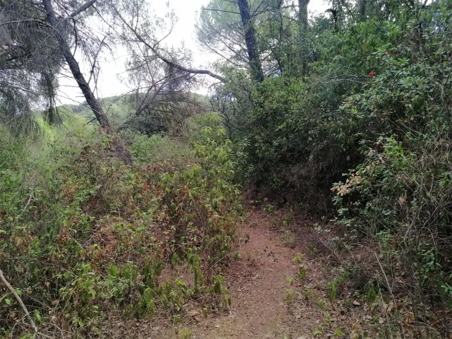 Terreno en venta en Córdoba
