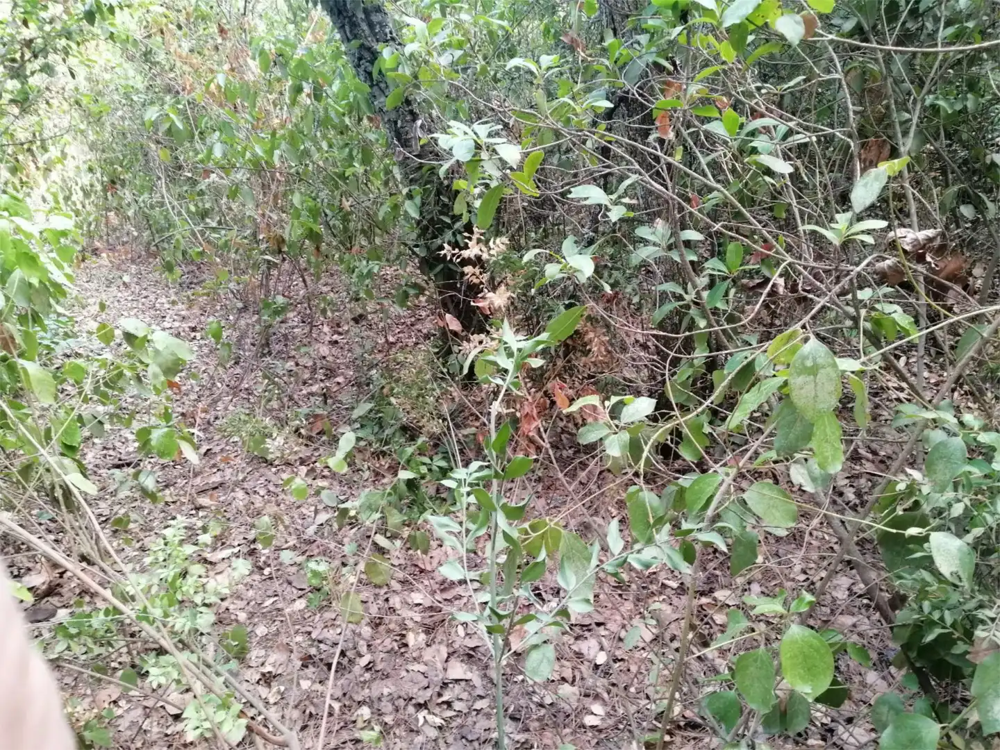 Terreno en venta en Córdoba