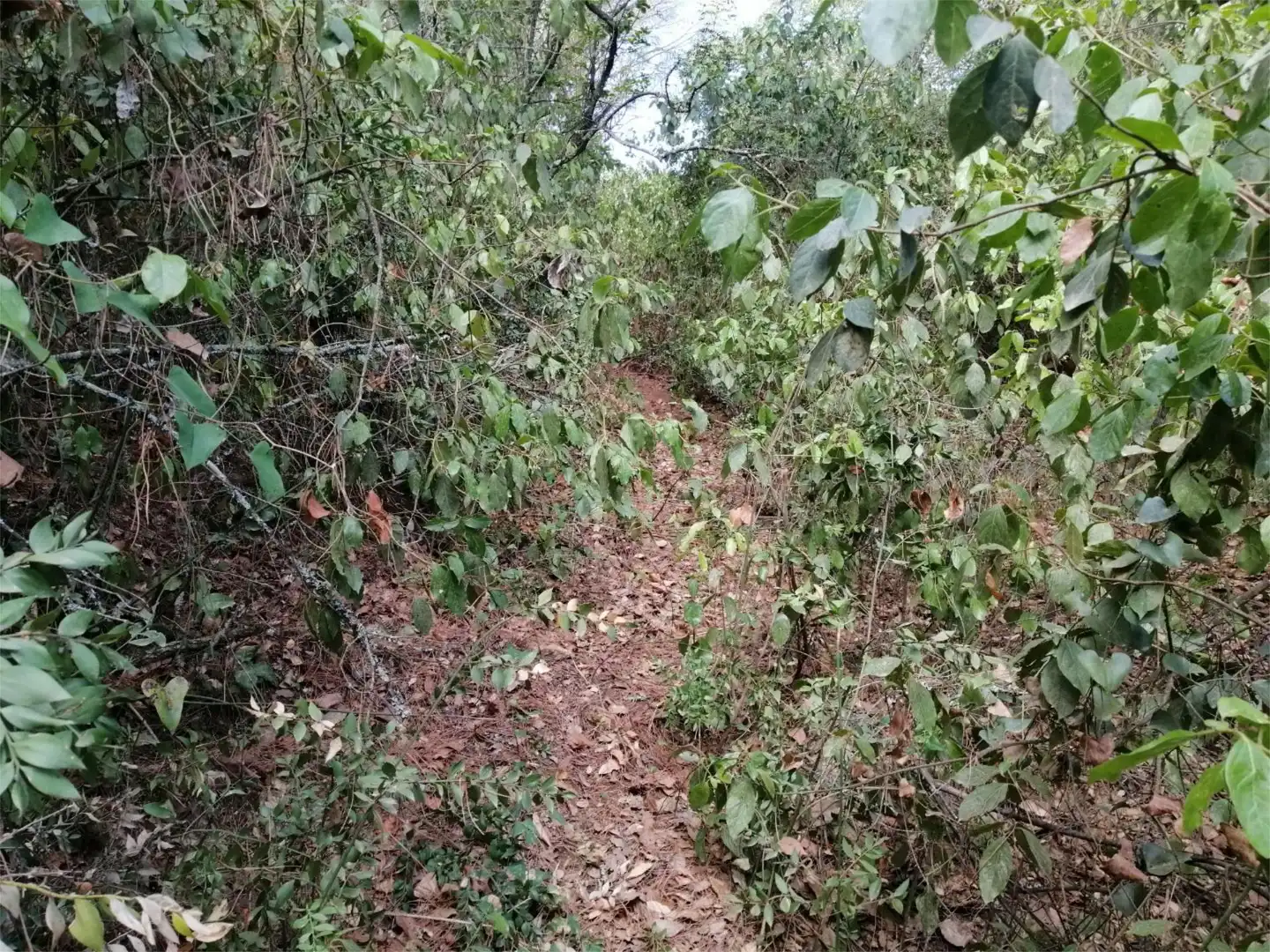 Terreno en venta en Córdoba
