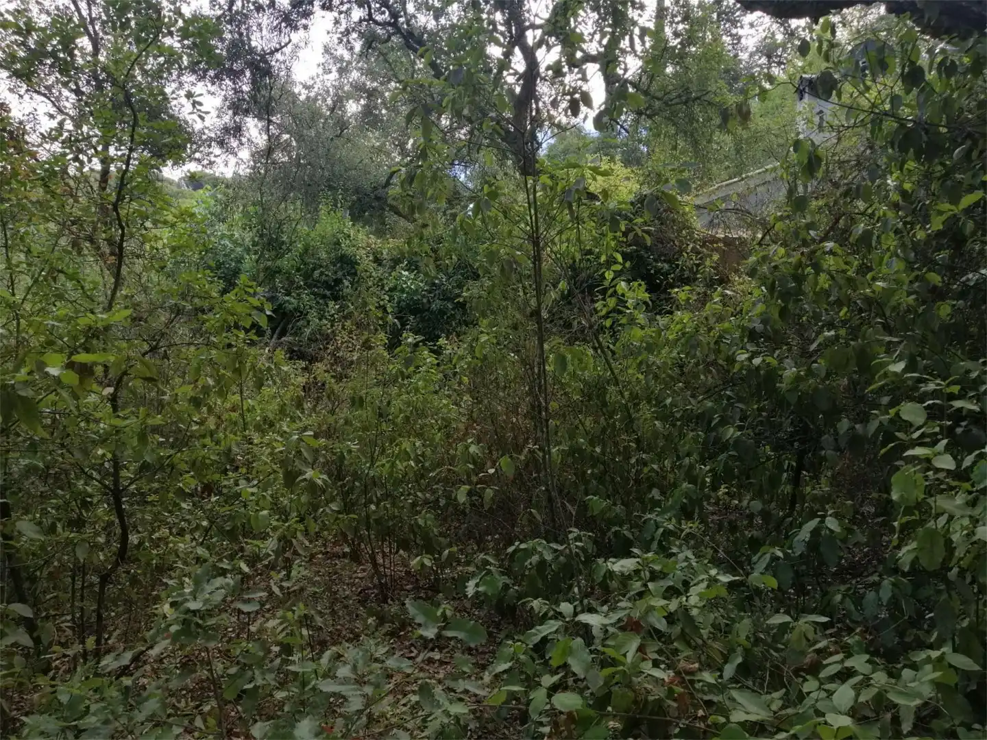 Terreno en venta en Córdoba