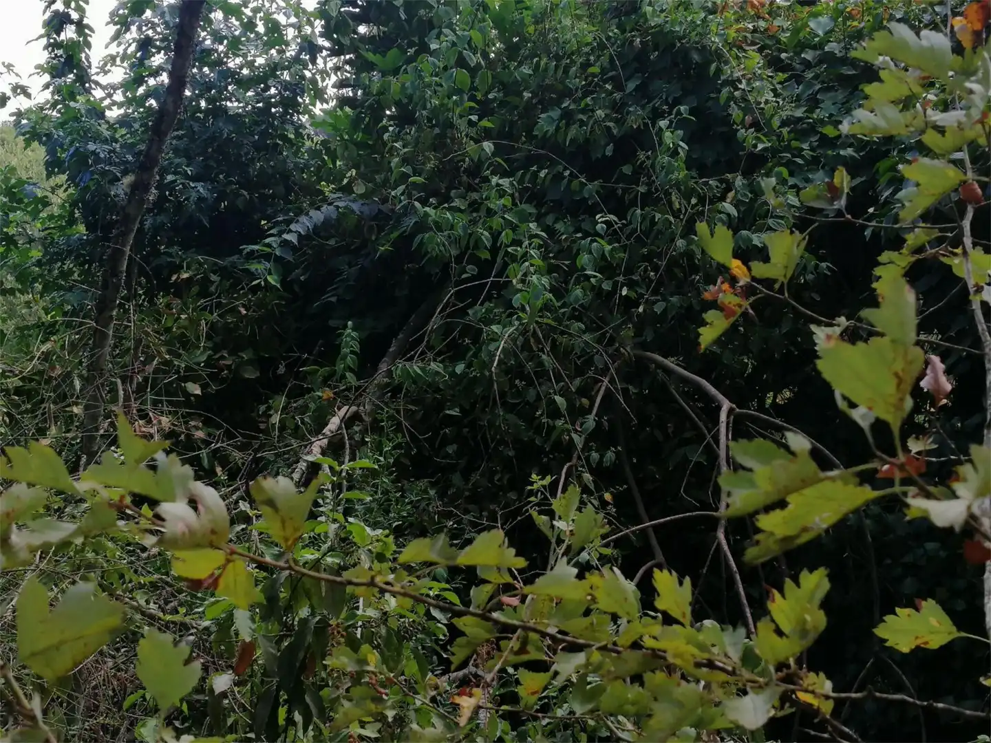 Terreno en venta en Córdoba