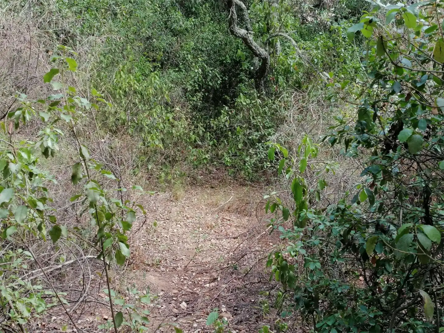 Terreno en venta en Córdoba