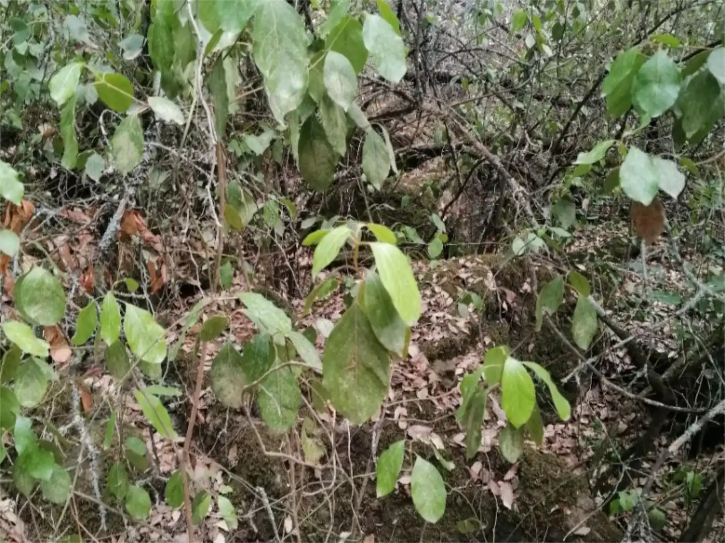 Terreno en venta en Córdoba