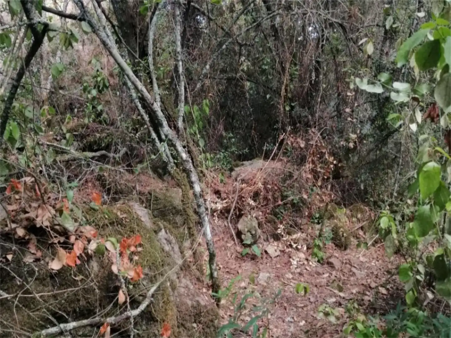 Terreno en venta en Córdoba