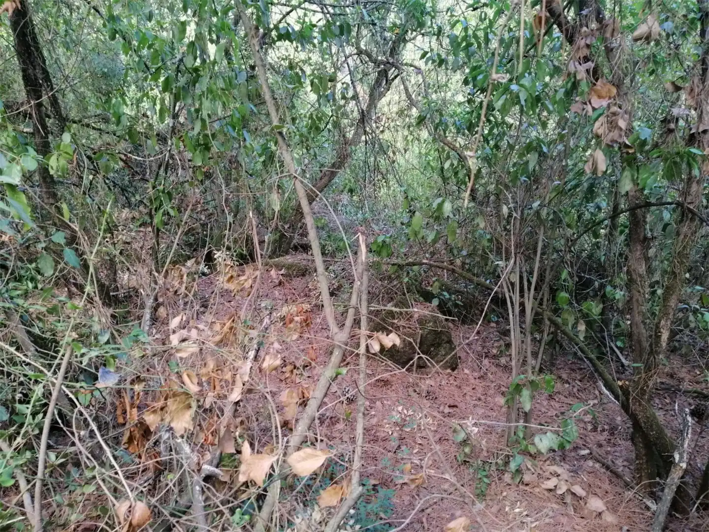 Terreno en venta en Córdoba
