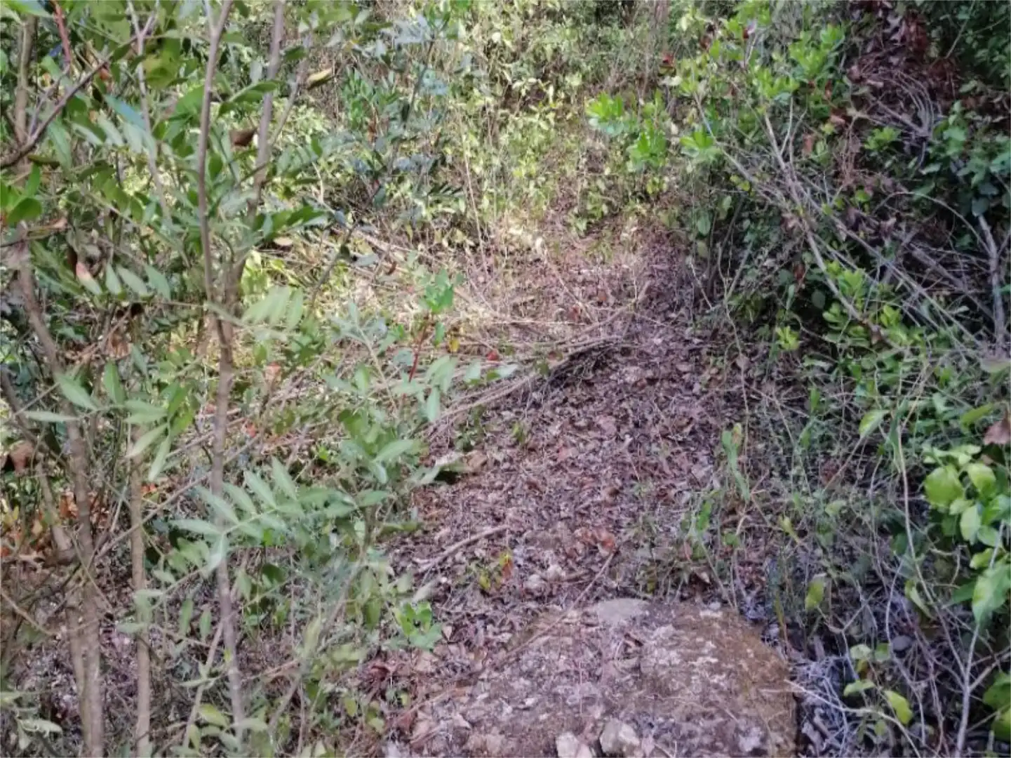 Terreno en venta en Córdoba