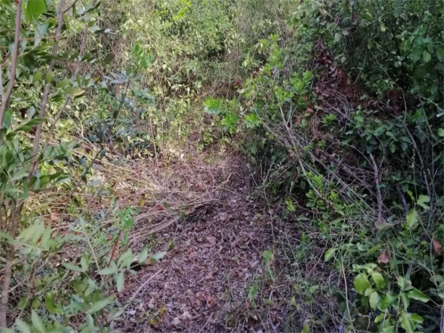 Terreno en venta en Córdoba