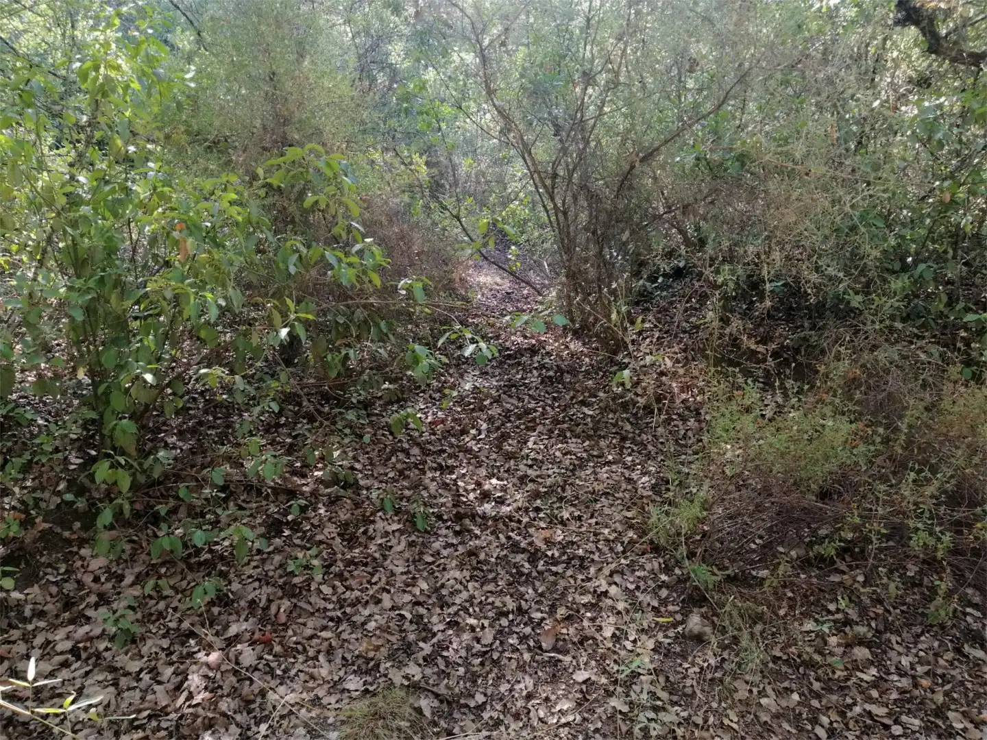Terreno en venta en Córdoba