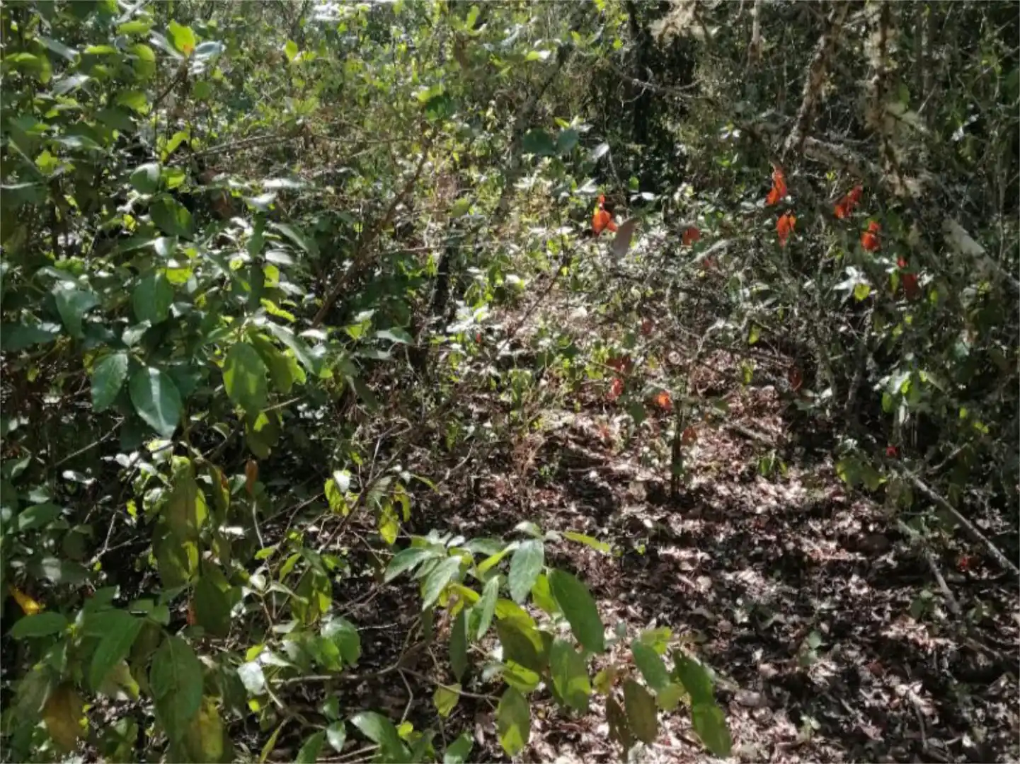 Terreno en venta en Córdoba