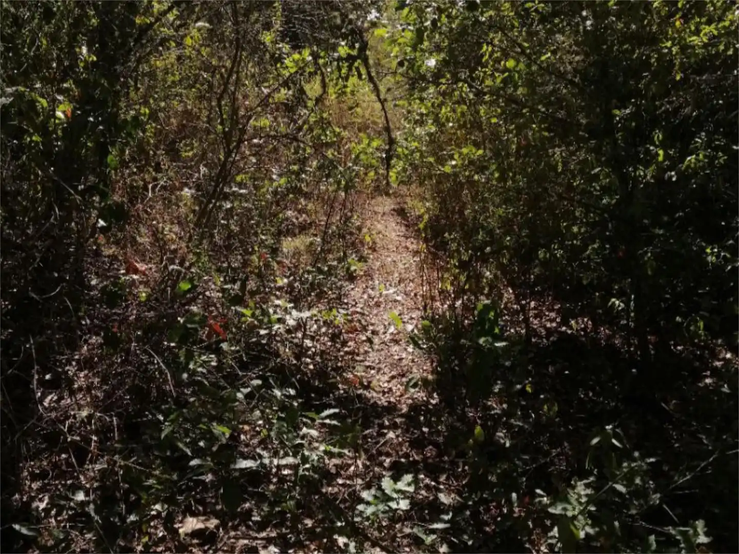 Terreno en venta en Córdoba