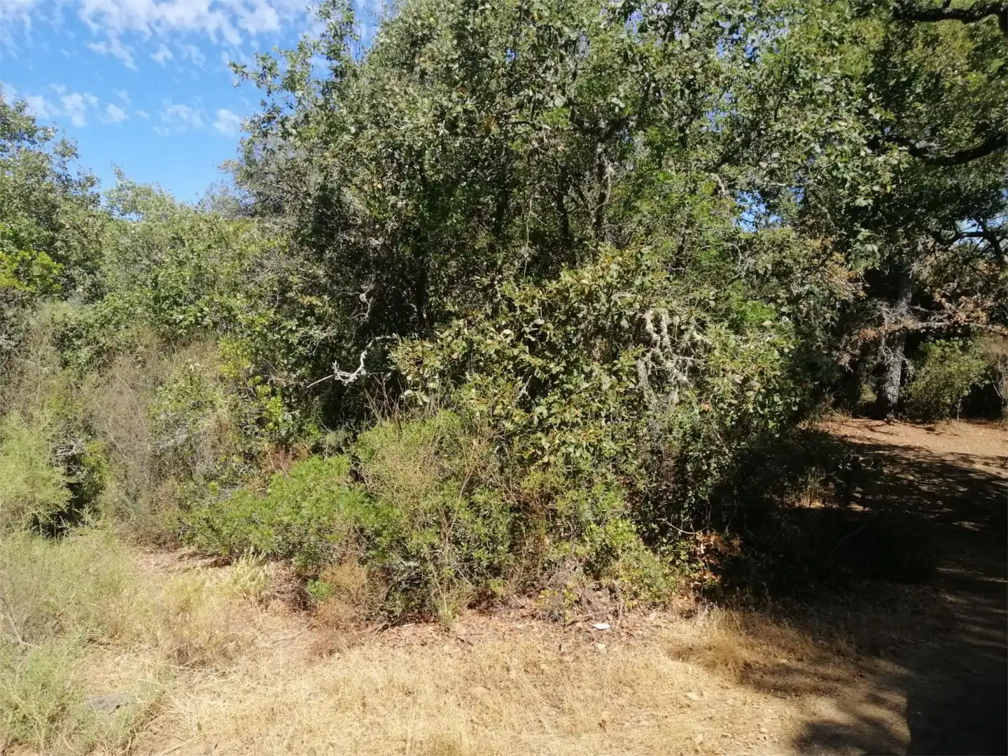 Terreno en venta en Córdoba