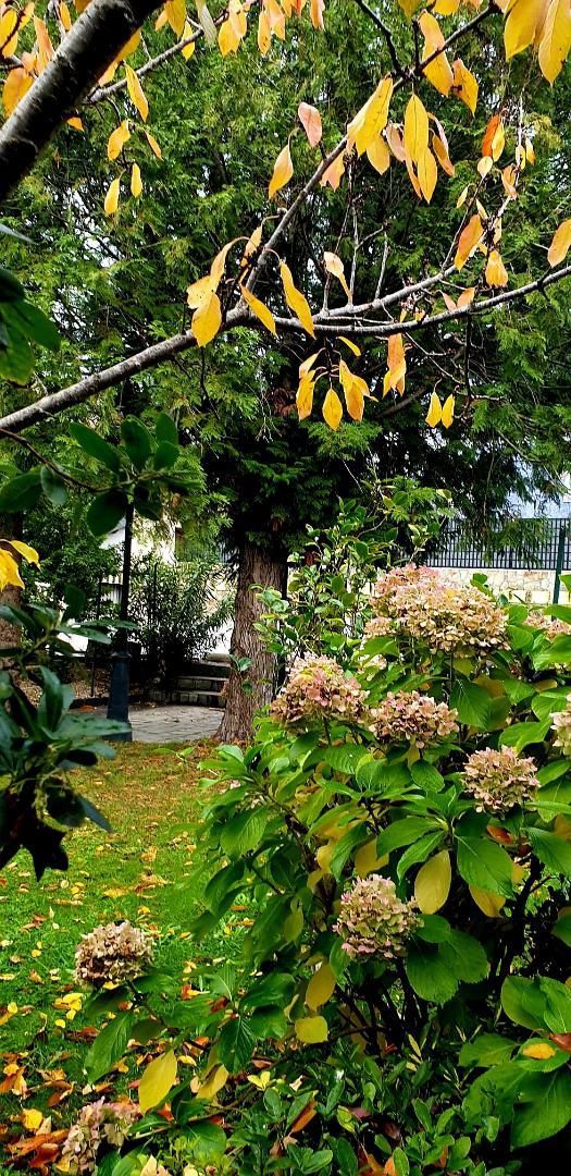 Garden of House or chalet for sale in Carballeda de Valdeorras  with Air Conditioner, Heating and Private garden